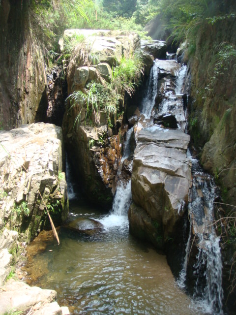 dsc02662.jpg