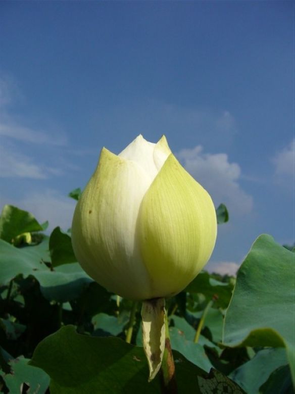 neo_img_23.jpg