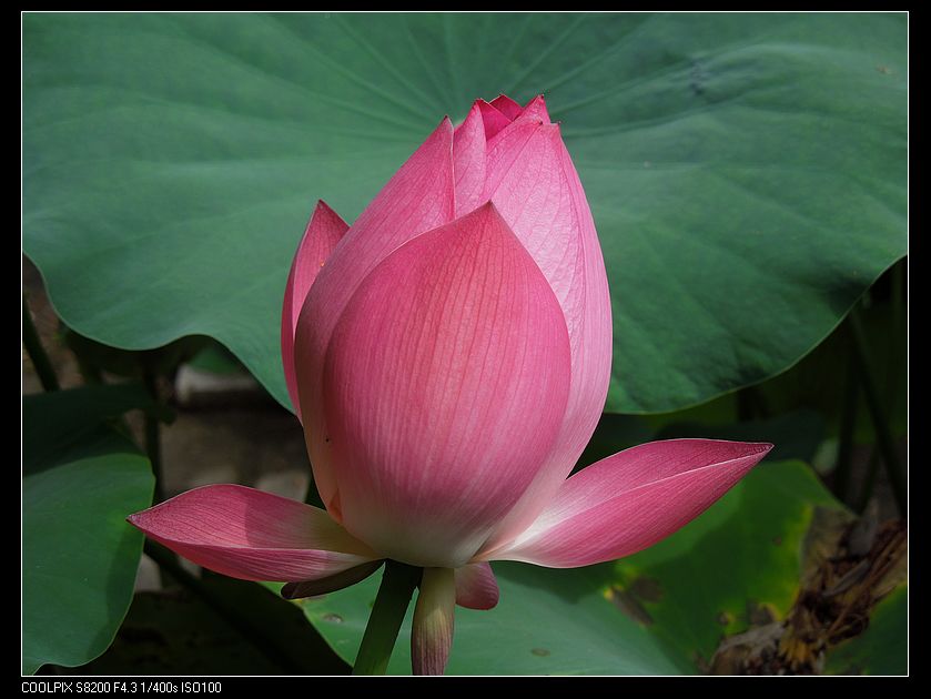 dscn1309.jpg