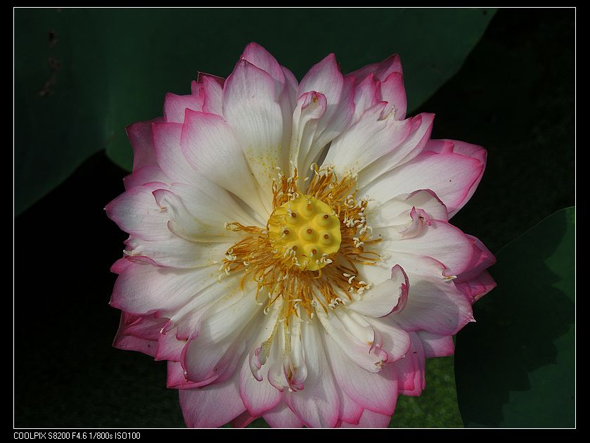 dscn1313.jpg