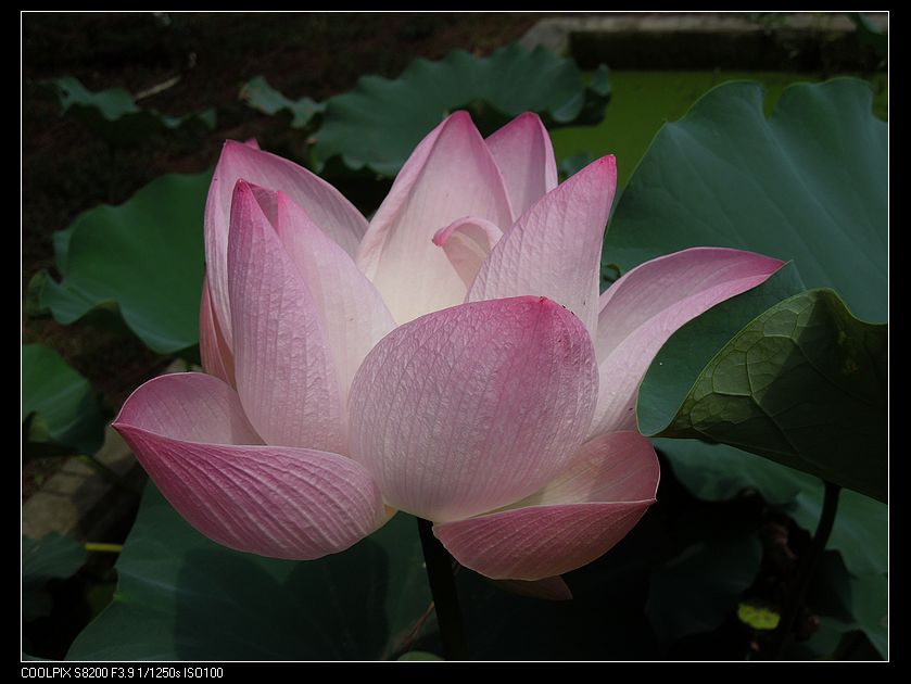 dscn1316.jpg