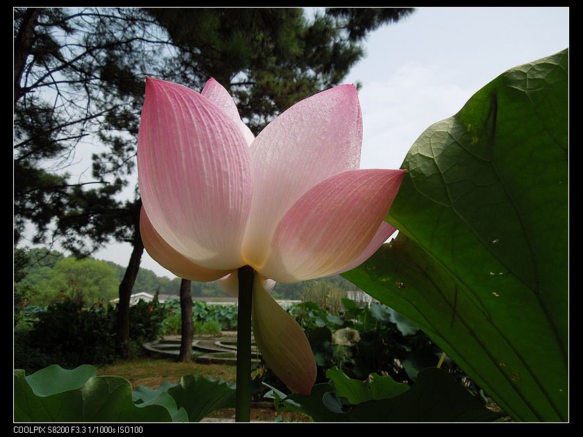 dscn1317.jpg