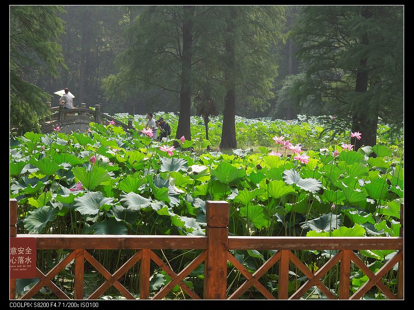 dscn1334.jpg