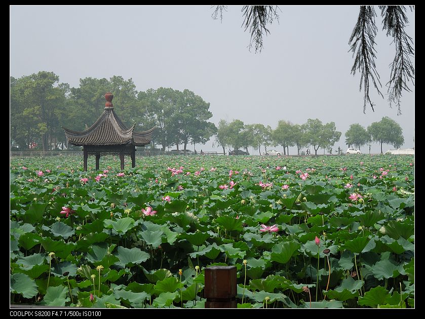 dscn1337.jpg