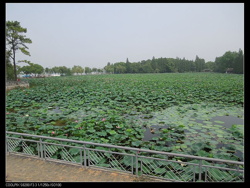 dscn1350.jpg