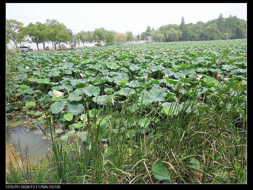dscn1355.jpg