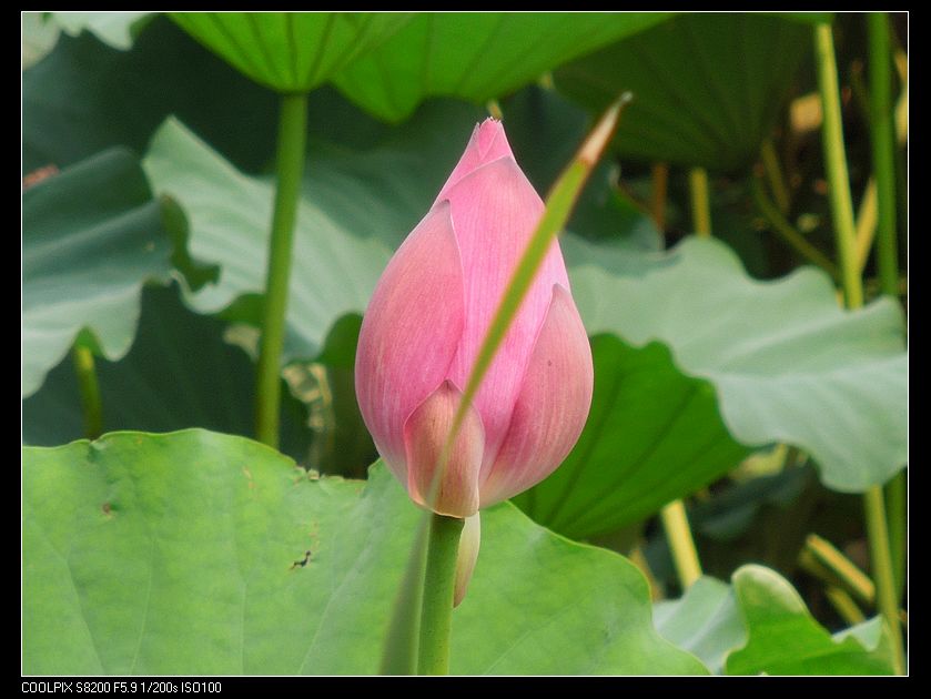 dscn1353.jpg