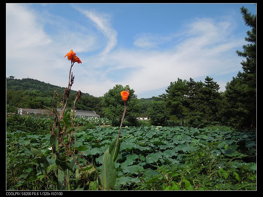 dscn1482.jpg