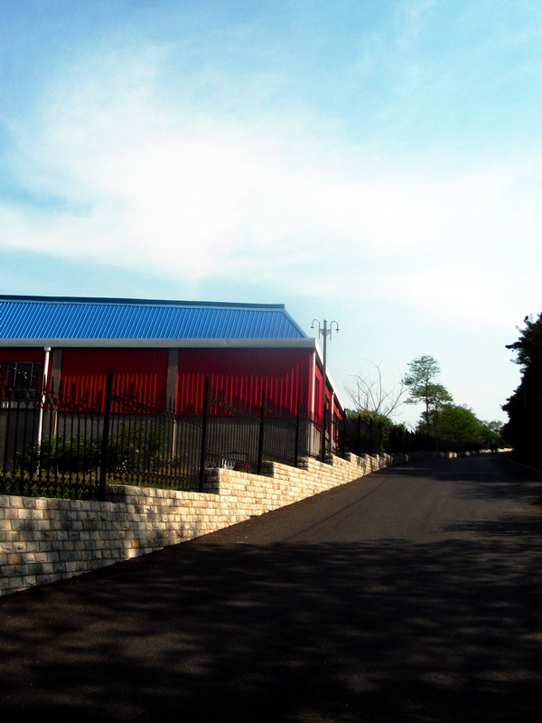 dscf0737.jpg