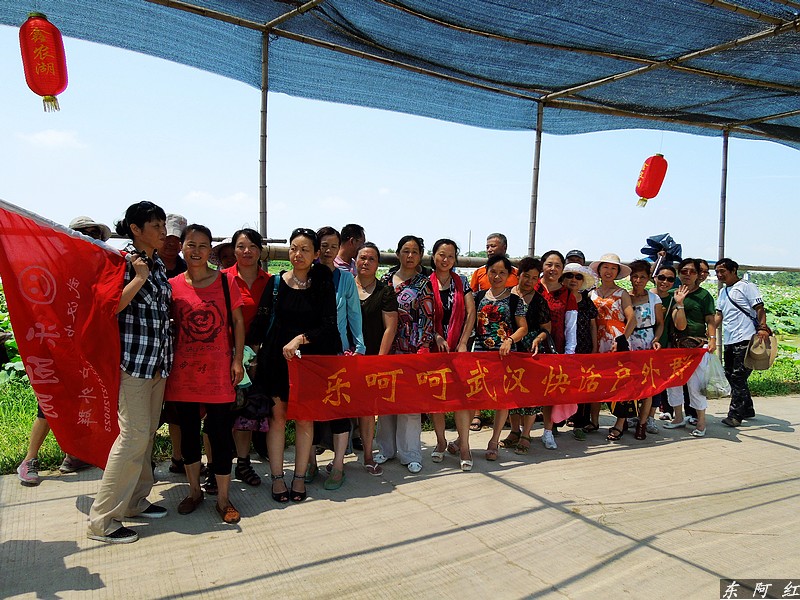 dscn0810.jpg