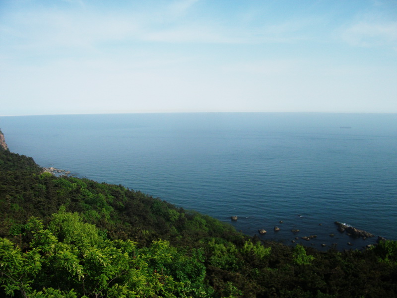 dscf0739.jpg
