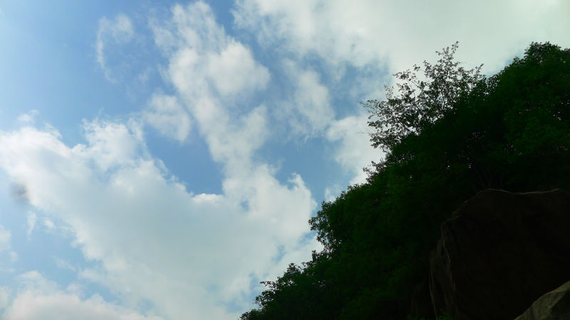 p1260589.jpg