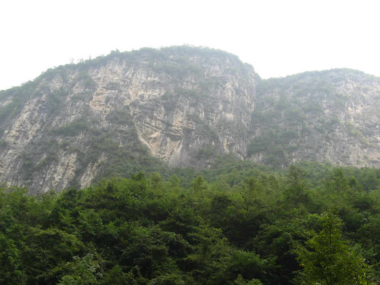 ʩ 038_.jpg