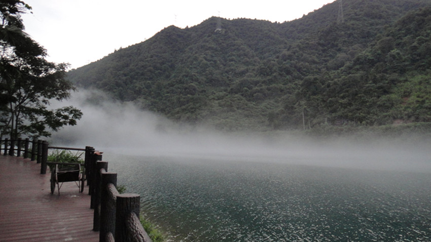 dsc01142_.jpg