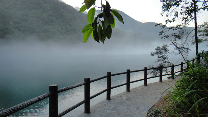 dsc01154_.jpg