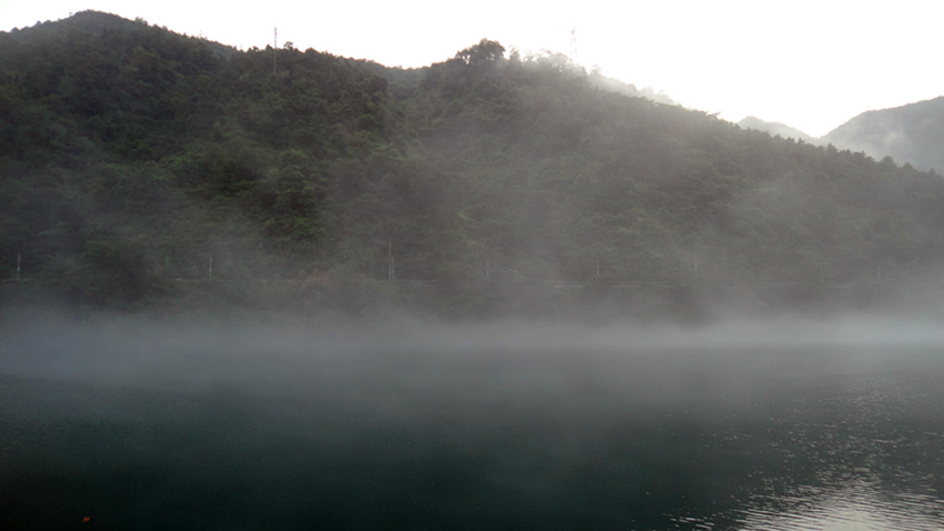 dsc01156_.jpg