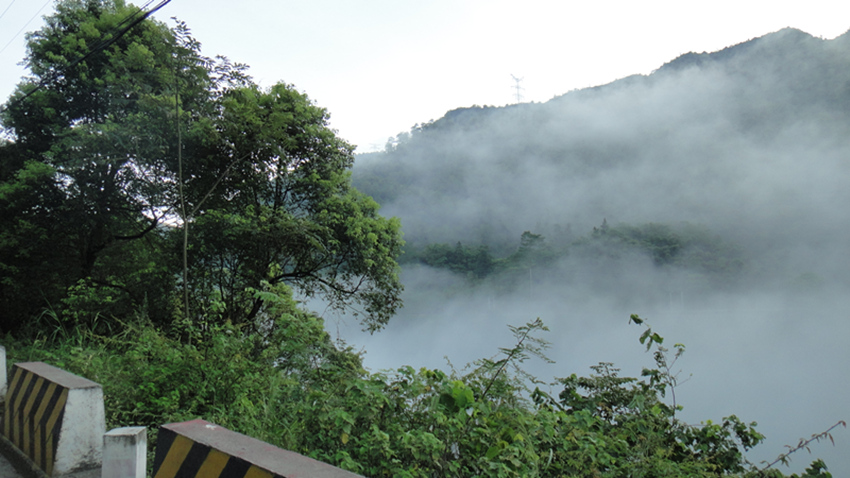 dsc01173_.jpg