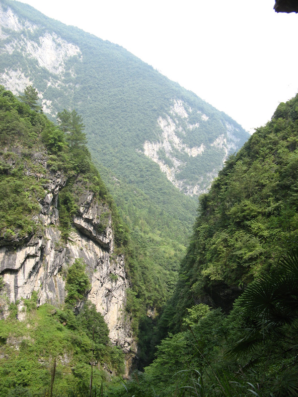 ʩ 090_.jpg