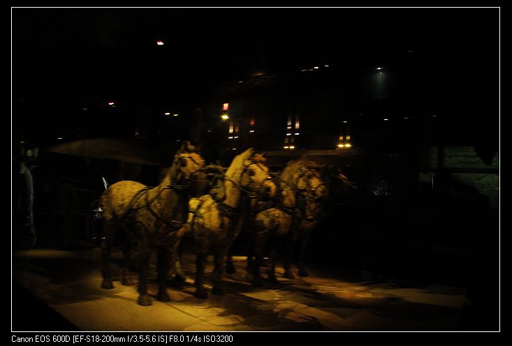 neo_img__mg_2732.jpg