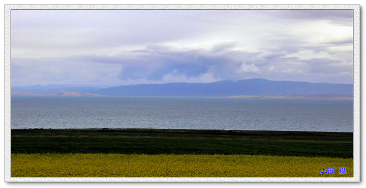 dsc_10514.jpg