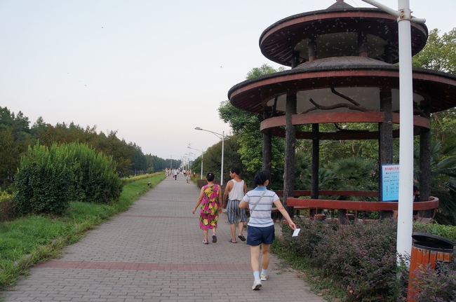 887.jpg