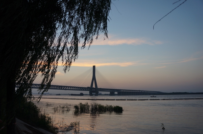 897.jpg