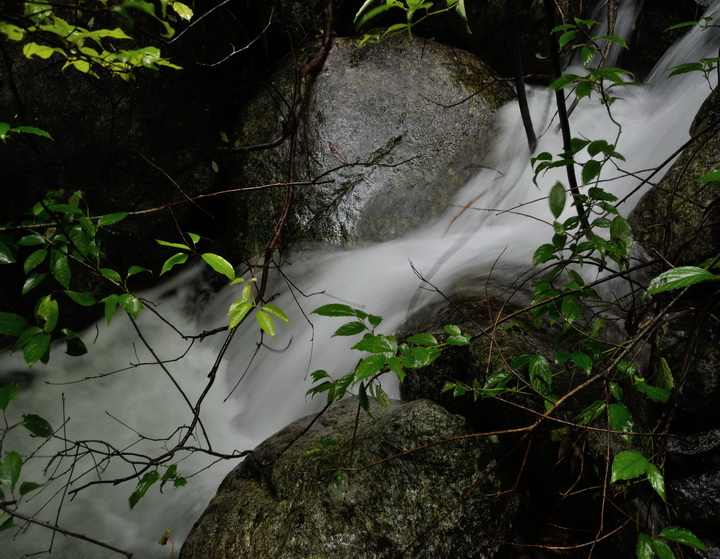 dsc_0882.jpg