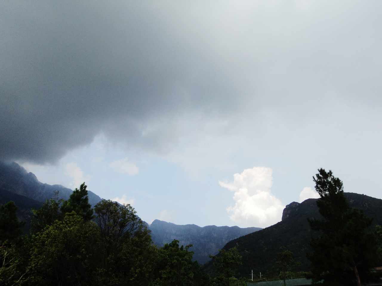 dsc06995.jpg