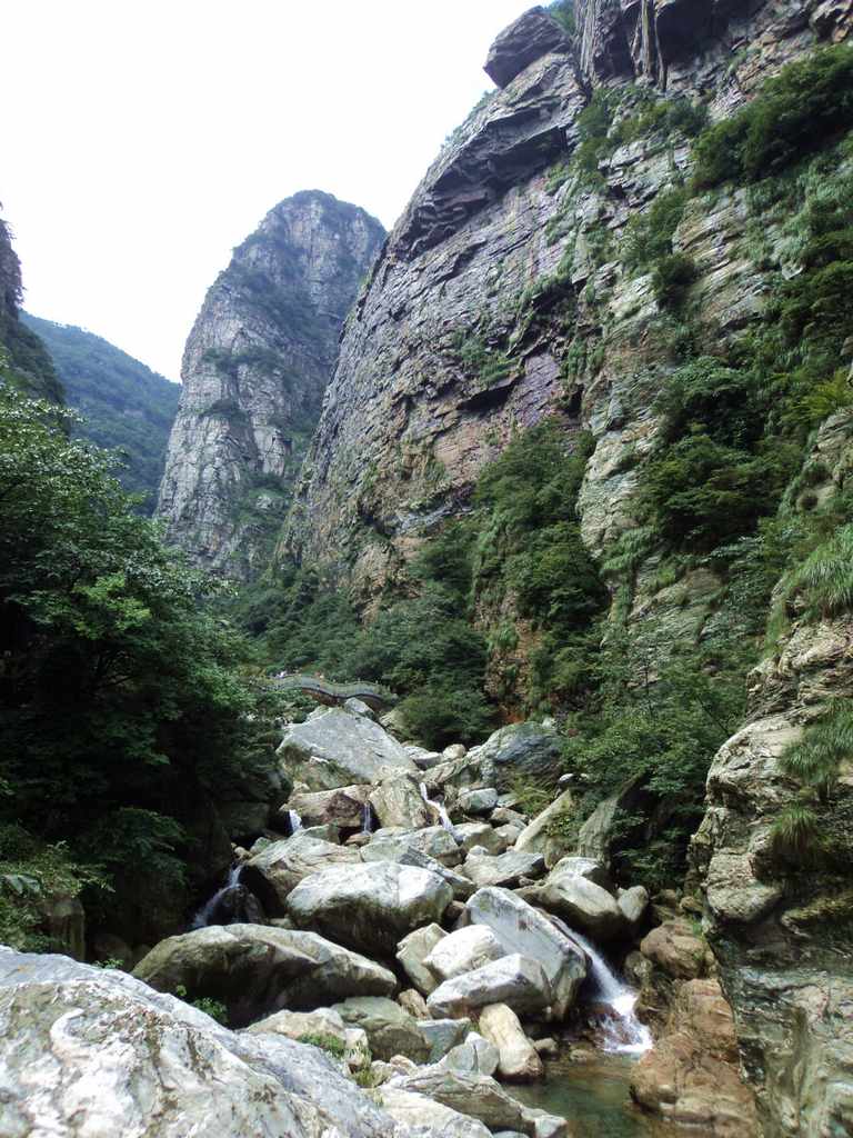 dsc07048.jpg