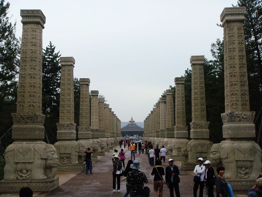 neo_img_dsc08203.jpg