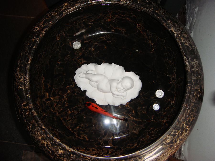 neo_img_dsc08352.jpg