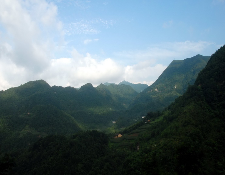 dsc_0490.jpg