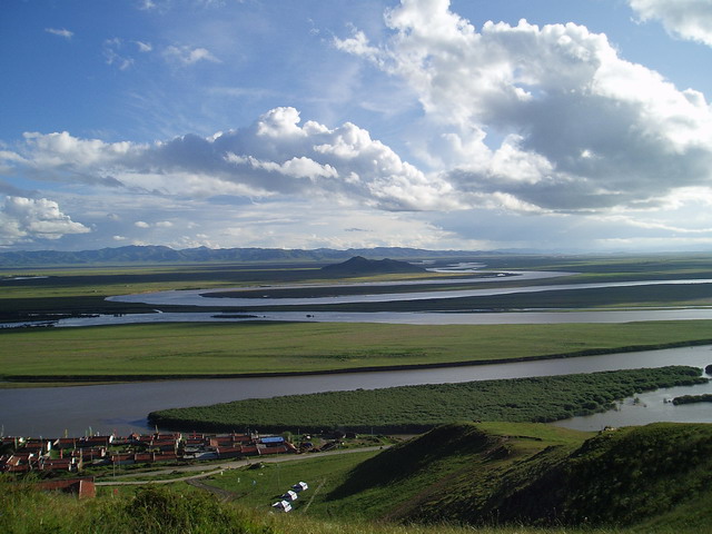 p1011992.jpg