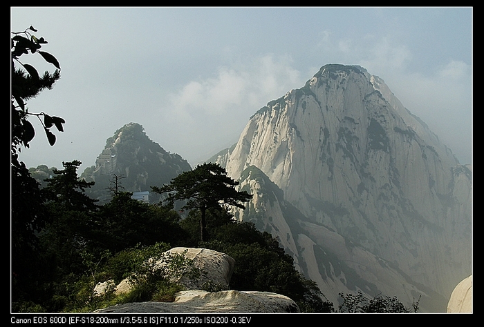 neo_img__mg_2885.jpg