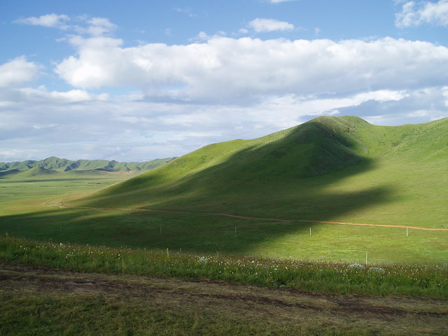p1011983.jpg