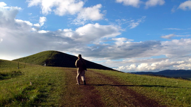 dsc_1239.jpg