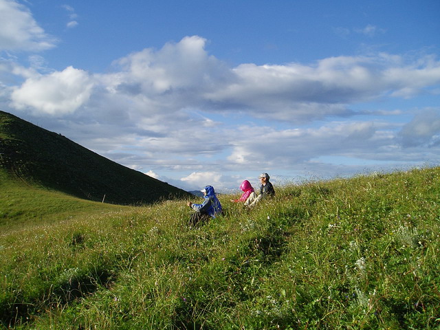 p1011997.jpg