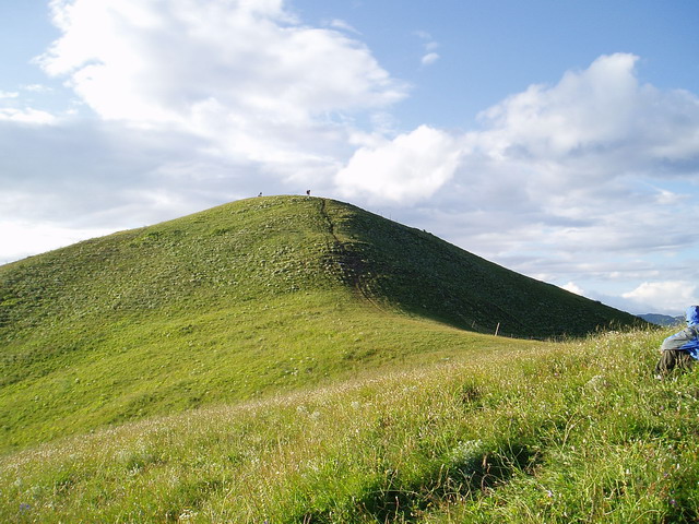 p1011998.jpg