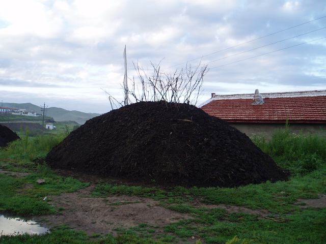 p1012025.jpg