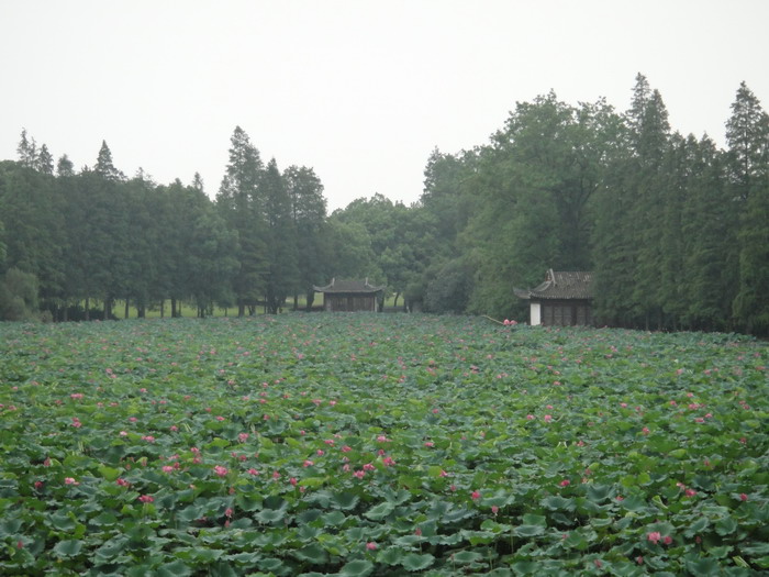 514-9.jpg