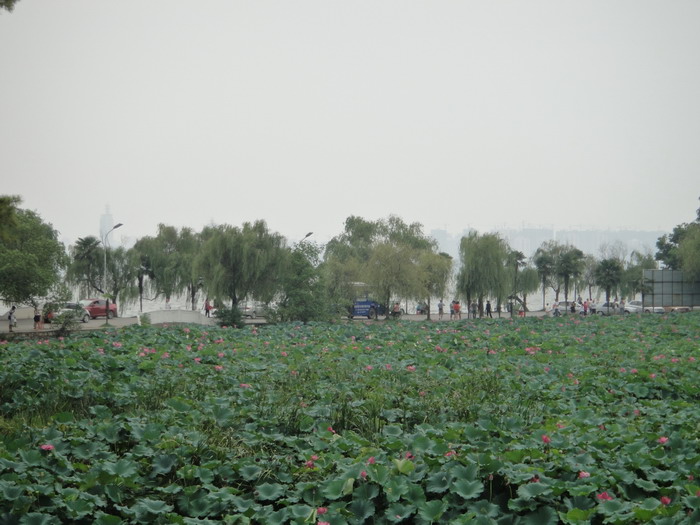 514-10.jpg