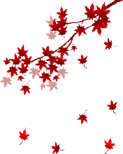 164qa4f-8.gif