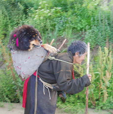 p1012024.jpg