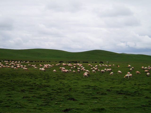 p1012031.jpg