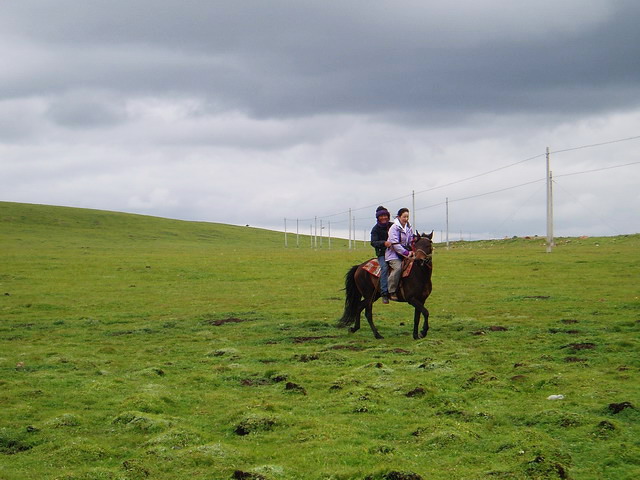p1012036.jpg