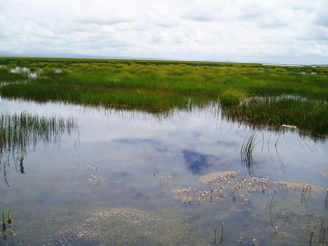 p1012039.jpg