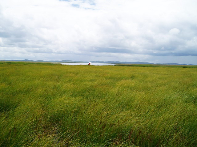 p1012041.jpg