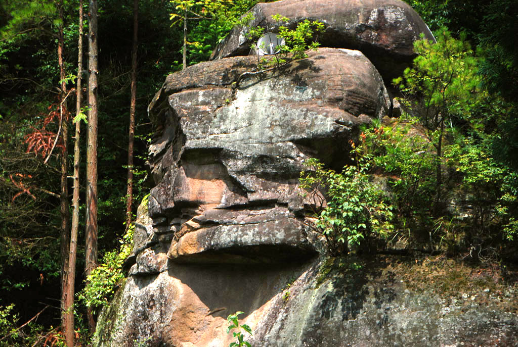 p12.jpg