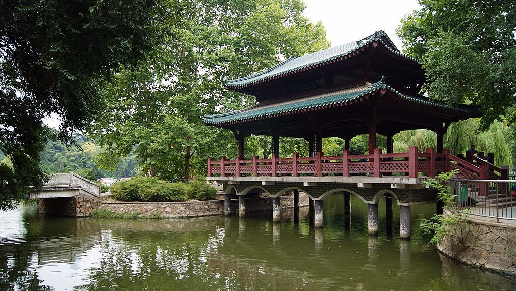 dsc02054.jpg