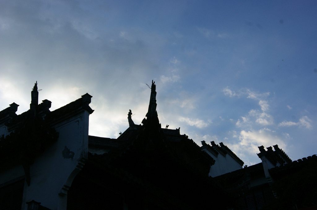 dsc01725.jpg